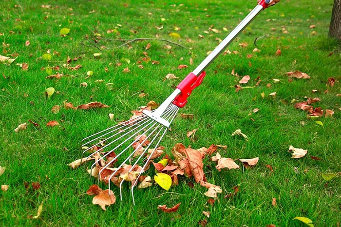 Stainless Steel Hay Rake for Grass Collection, Garden Rake for Loosening Soil, Landscape Rake for Grabbing Grass, Farming Tool for Agricultural Use, Lawn Leaf Rake, Iron Rake for Sweeping Leaves